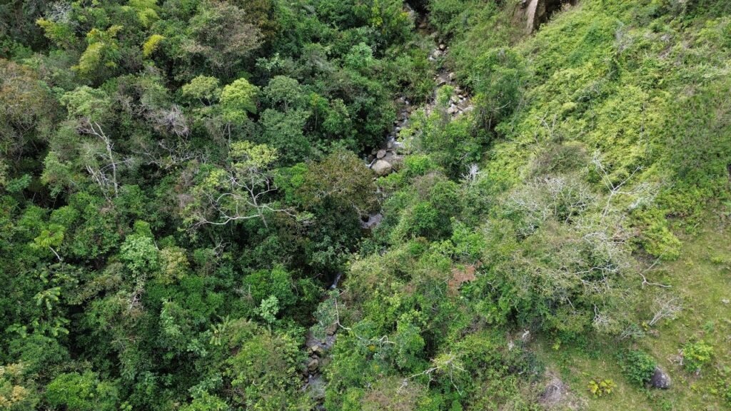 RESERVA NATURAL Y AFLUENTE